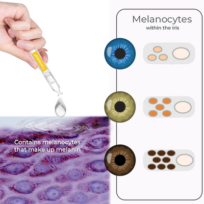 Trendyeed® Pro Formula Eye Drops: Fortgeschrittene Farbtransformation & Augenpflege